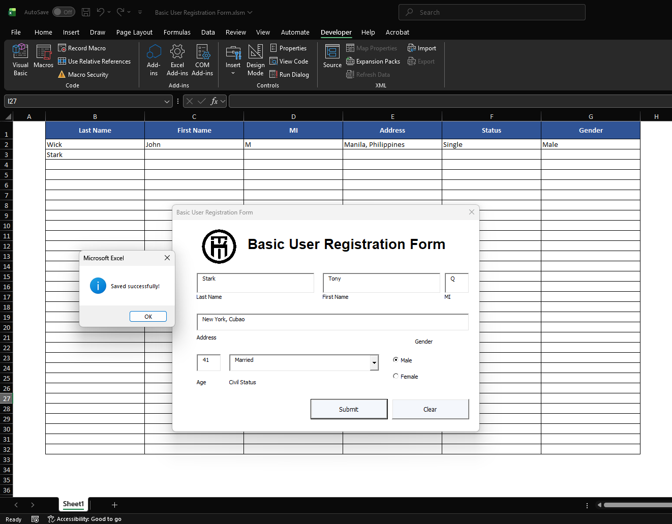 Excel Basic User Registration Form